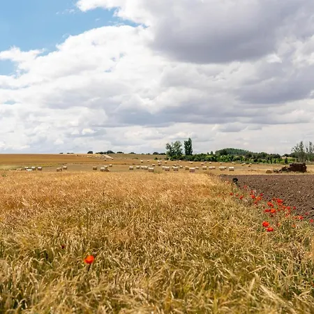 Σπίτι διακοπών La Casa Del Buho
