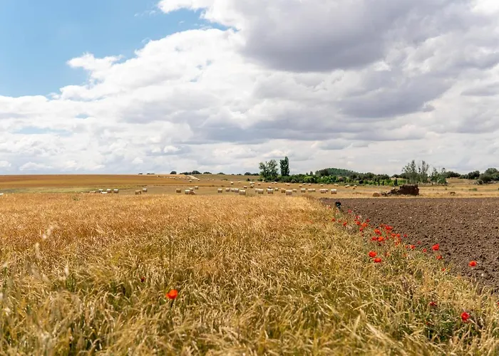 펜션 La Casa Del Buho