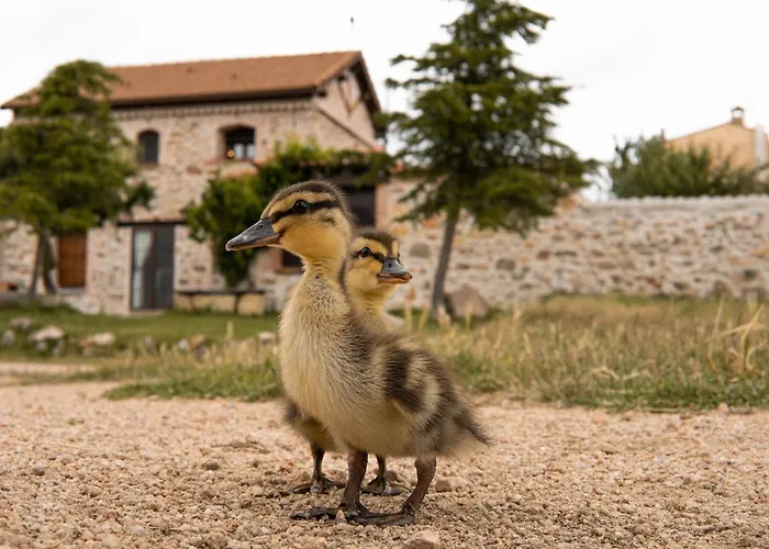 La Casa Del Buho Santa Maria la Real de Nieva