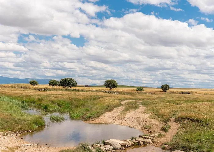 펜션 La Casa Del Buho *